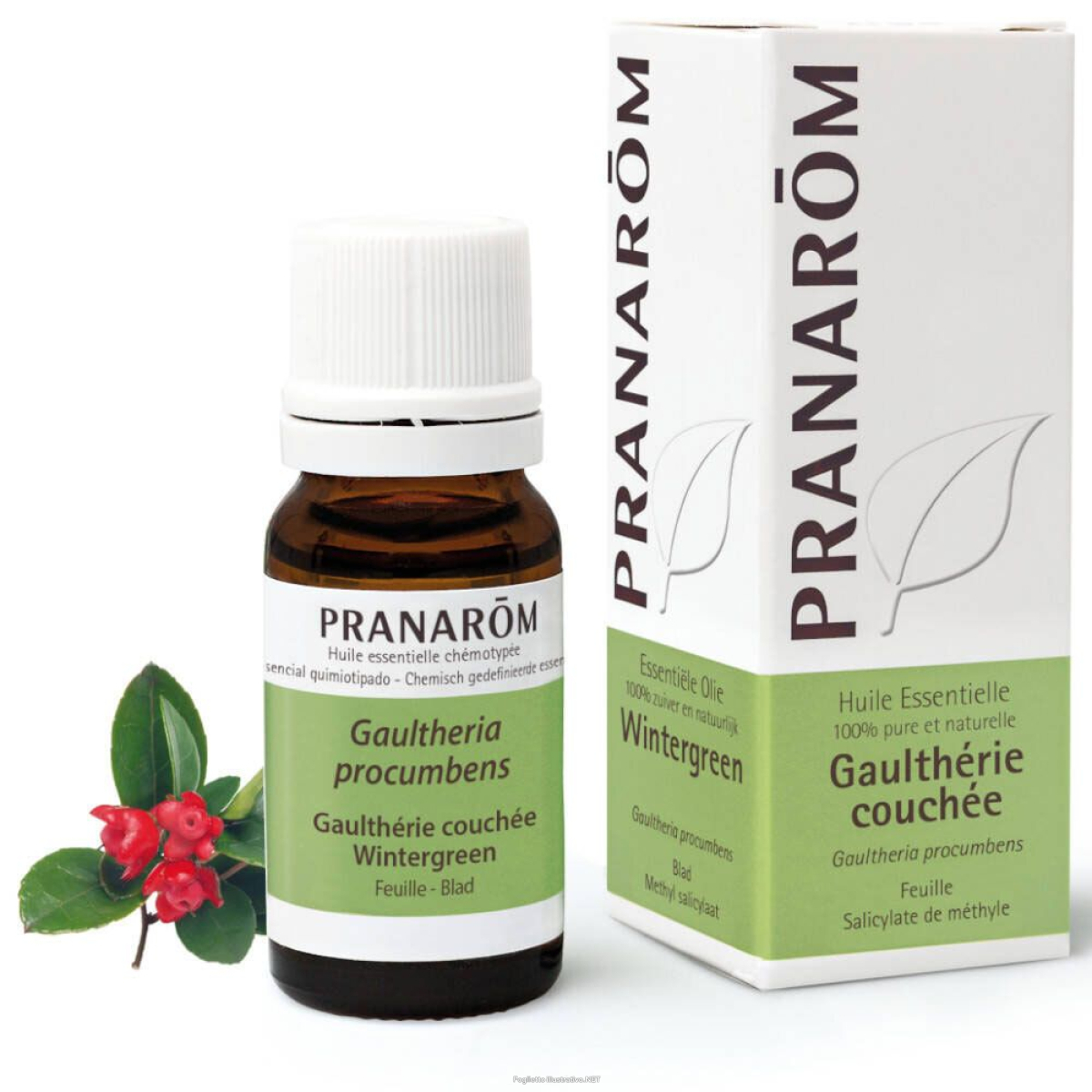 Cerca Offerte di pranarom olio essenziale wintergreen 10 ml essenziale e acquista online