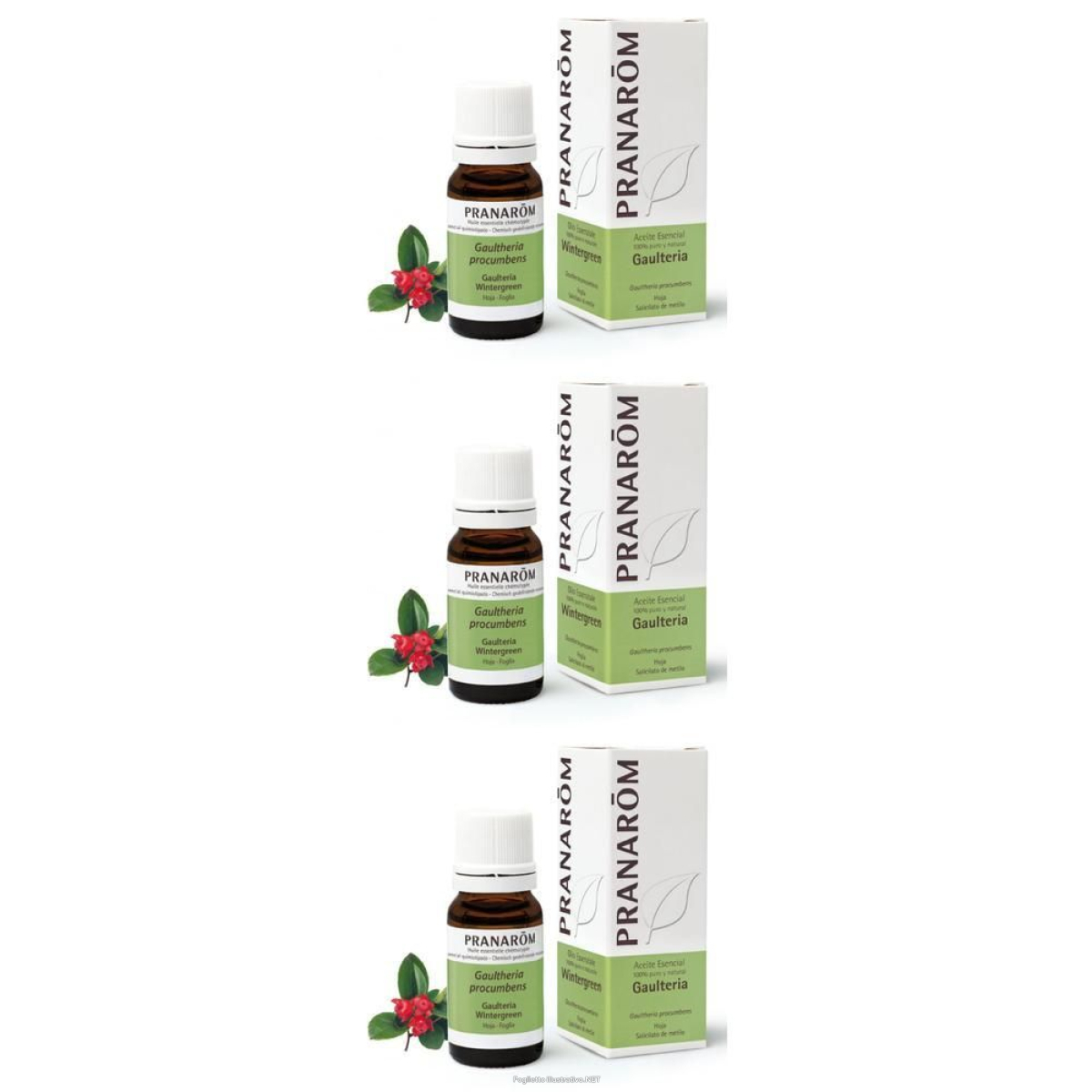 Cerca Offerte di pranarom olio essenziale wintergreen foglia 3x10 ml essenziale e acquista online