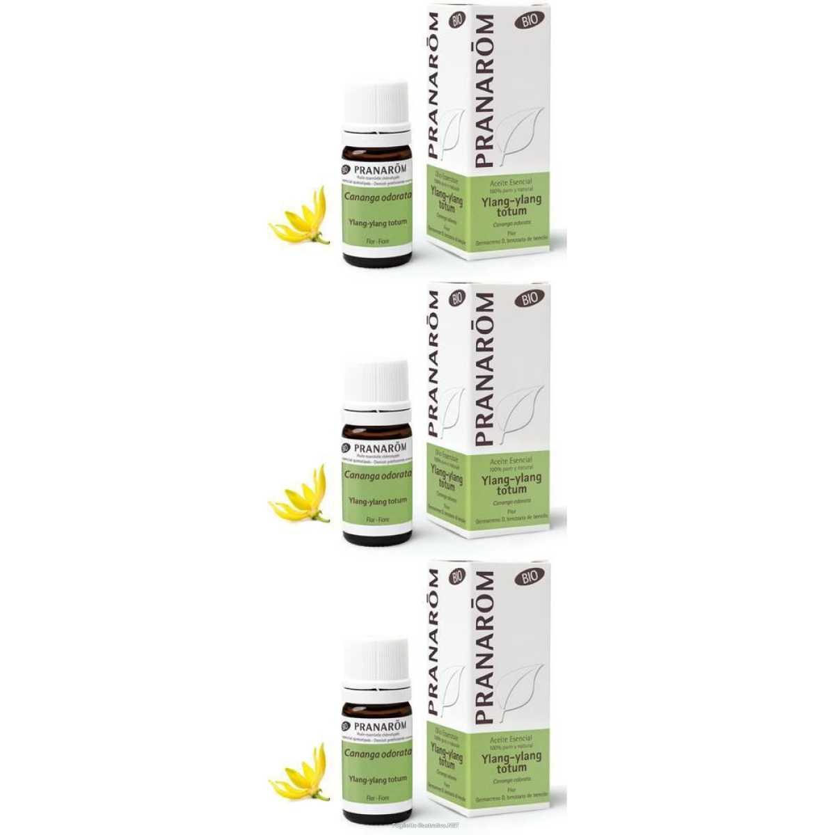 Cerca Offerte di pranarom olio essenziale ylang-ylang totum fiore 3x5 ml e acquista online