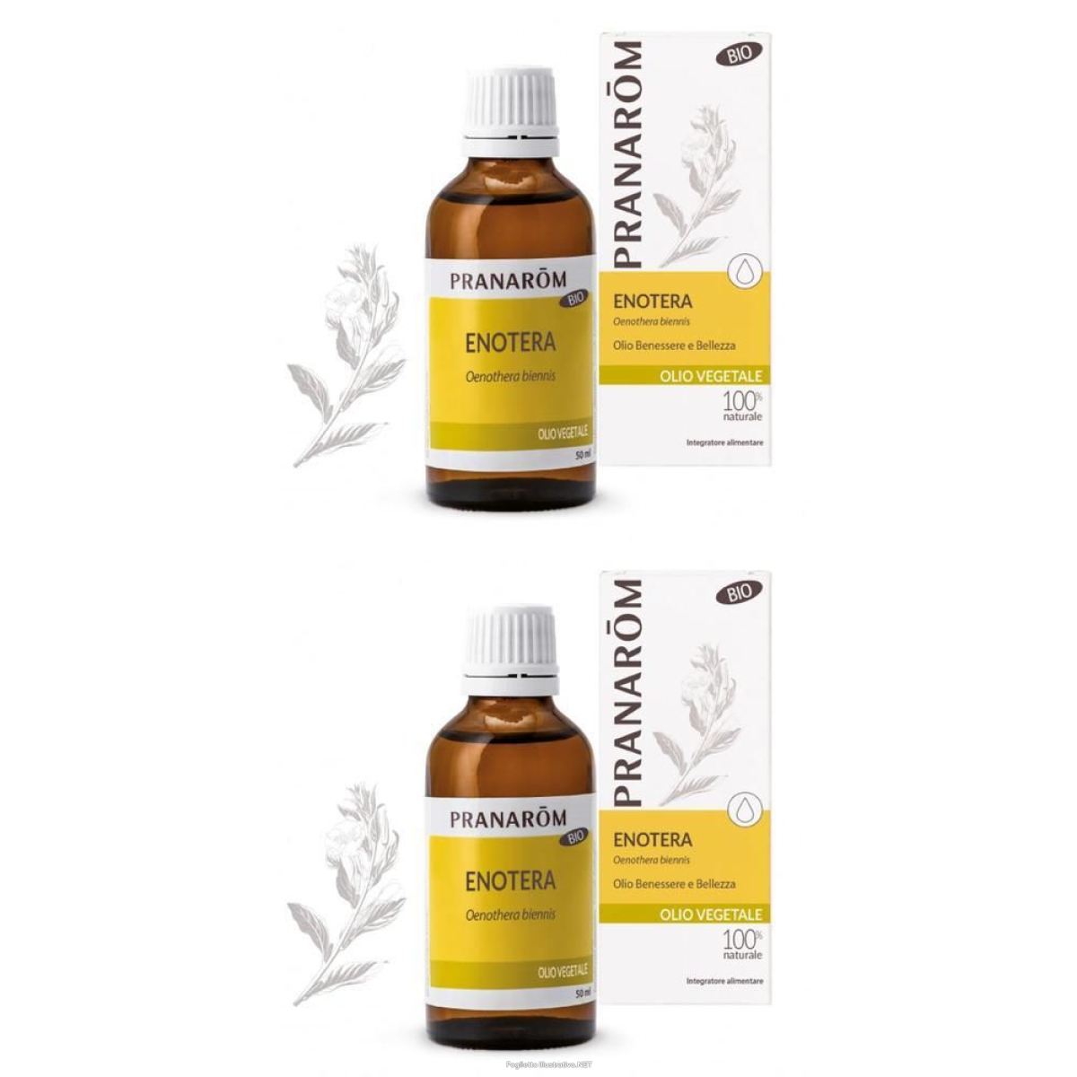 Cerca Offerte di pranarom olio vegetale enotera semi 50 ml soluzione orale e acquista online