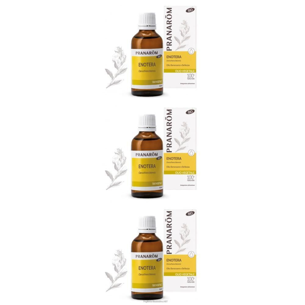 Cerca Offerte di pranarom olio vegetale enotera semi 50 ml soluzione orale e acquista online