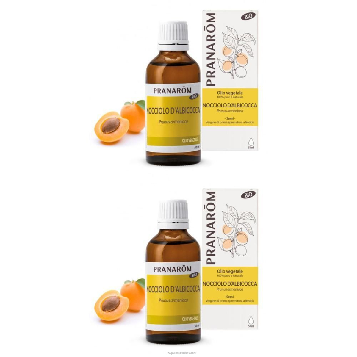 Cerca Offerte di pranarom olio vegetale nocciolo d´albicocca 2x50 ml soluzione orale e acquista online