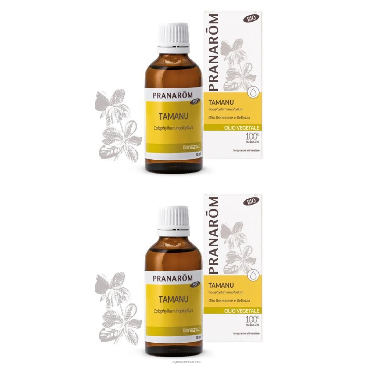 Cerca Offerte di pranarom olio vegetale tamanu noci 2x50 ml soluzione orale e acquista online