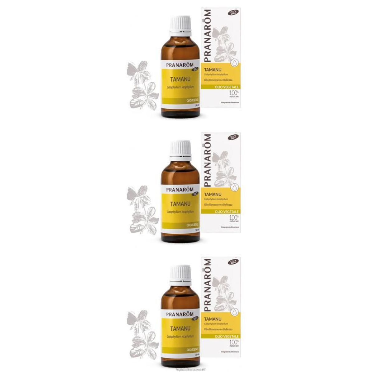 Cerca Offerte di pranarom olio vegetale tamanu noci 3x50 ml soluzione orale e acquista online