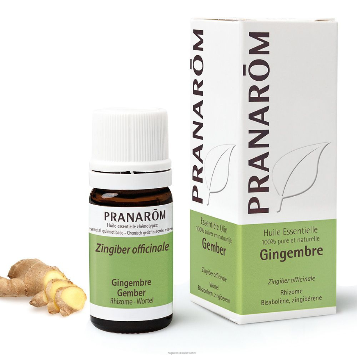 Cerca Offerte di pranarÔm zenzero 5 ml olio essenziale e acquista online