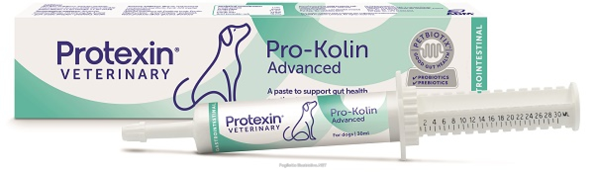Cerca Offerte di prokolin advanced dog integratore benessere intestinale cane 30ml e acquista online