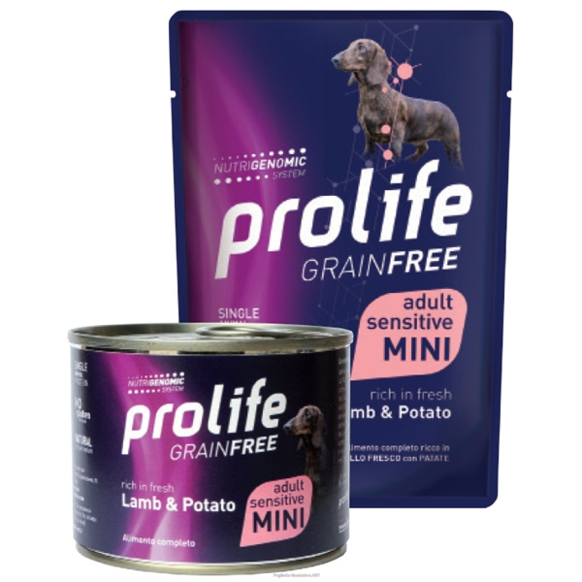 Cerca Offerte di prolife grain free agnello fresco con patate cibo umido per cani adulti taglia mini bustina 100g 197b e acquista online