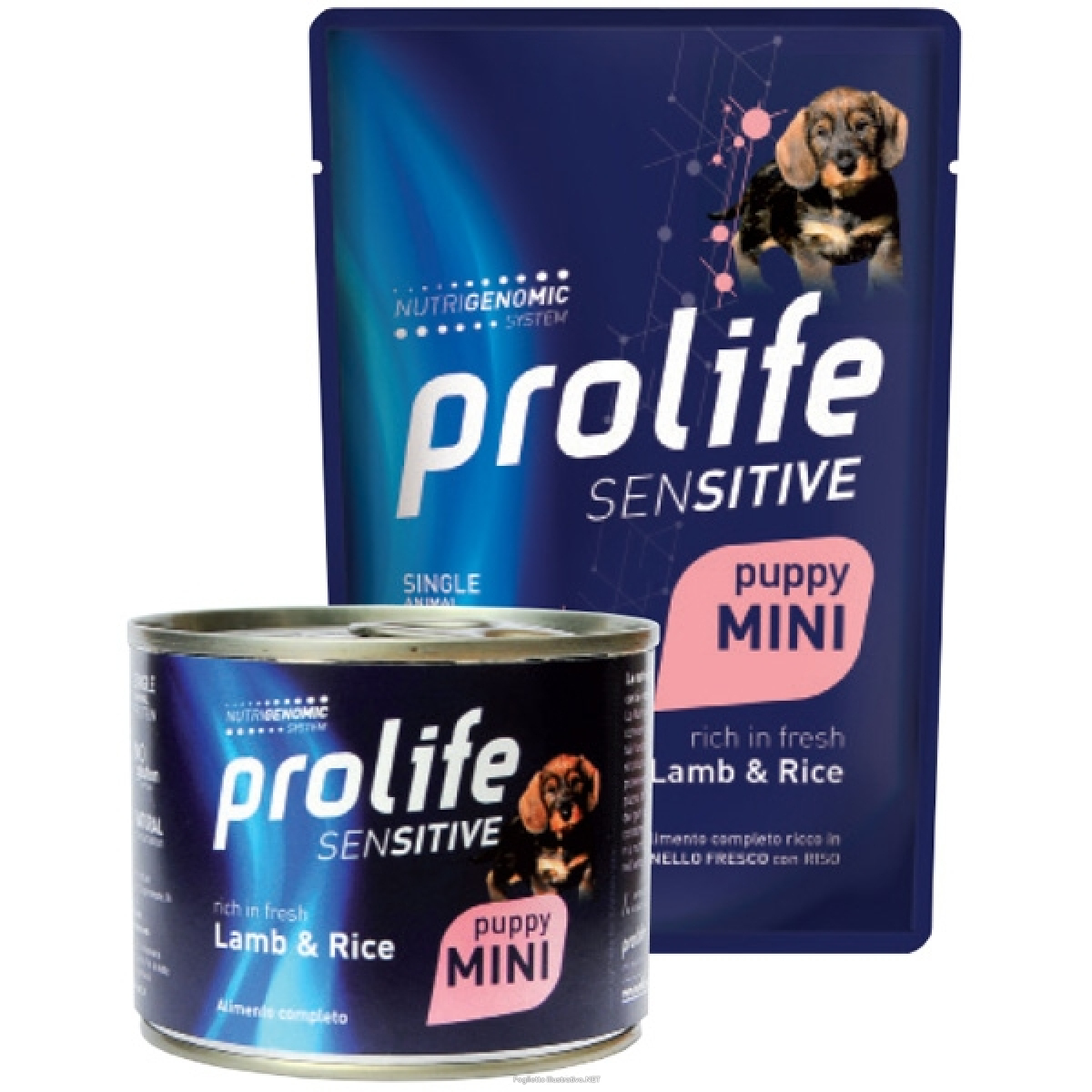 Cerca Offerte di prolife sensitive agnello fresco con riso cibo umido per cuccioli taglia piccola bustina 100g prolife e acquista online