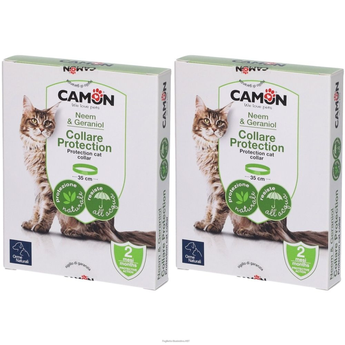 Cerca Offerte di protection collare barriera gatto set da 2 2x1 pz collare/i e acquista online