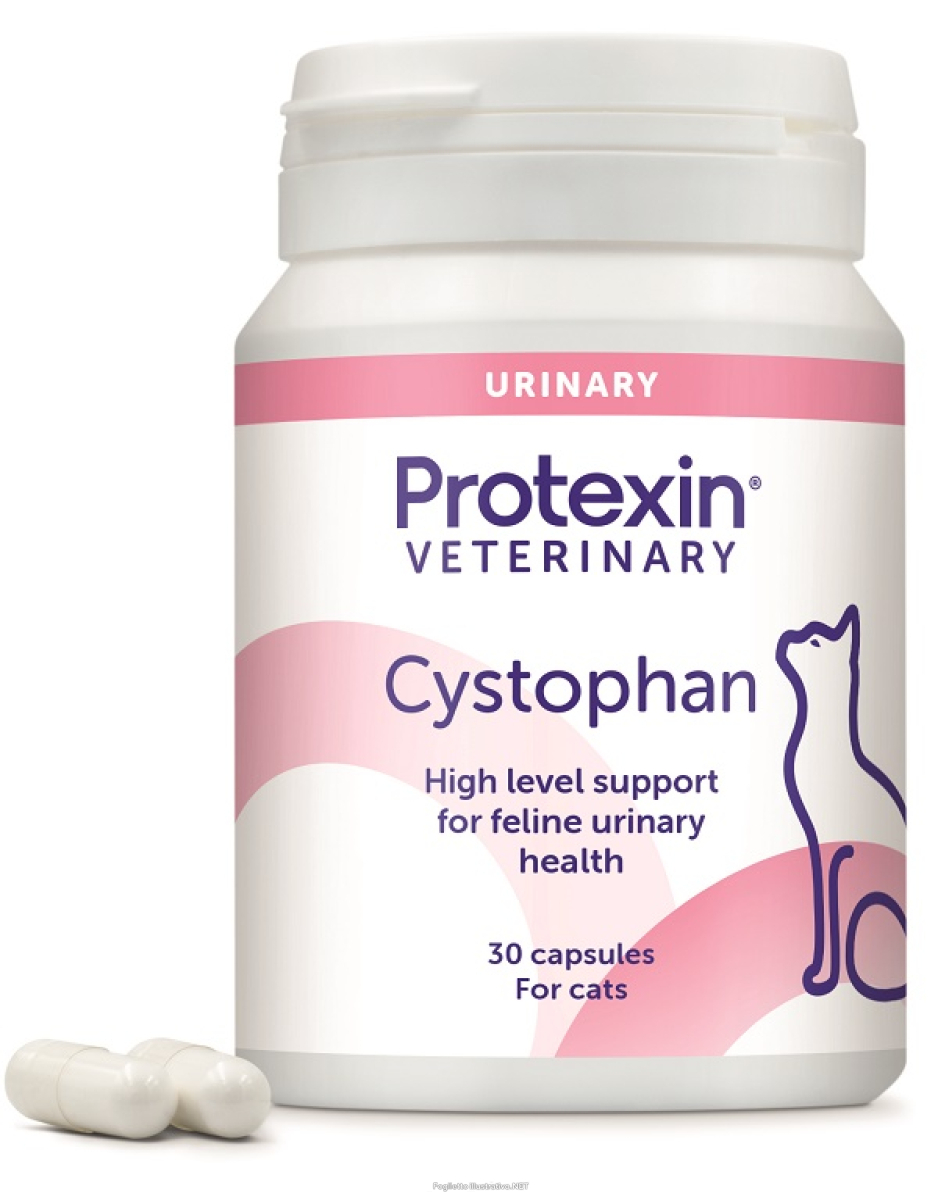 Cerca Offerte di protexin veterinary cystophan integratore per salute urinaria gatto 30 capsule e acquista online