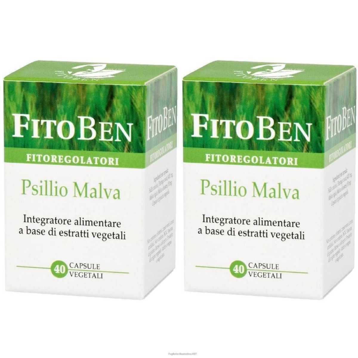 Cerca Offerte di psillio malva 40 capsule vegetali 2x40 pz e acquista online