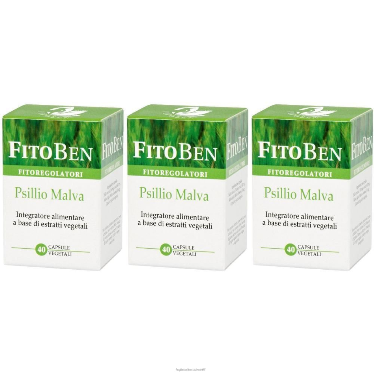 Cerca Offerte di psillio malva 40 capsule vegetali 3x40 pz e acquista online