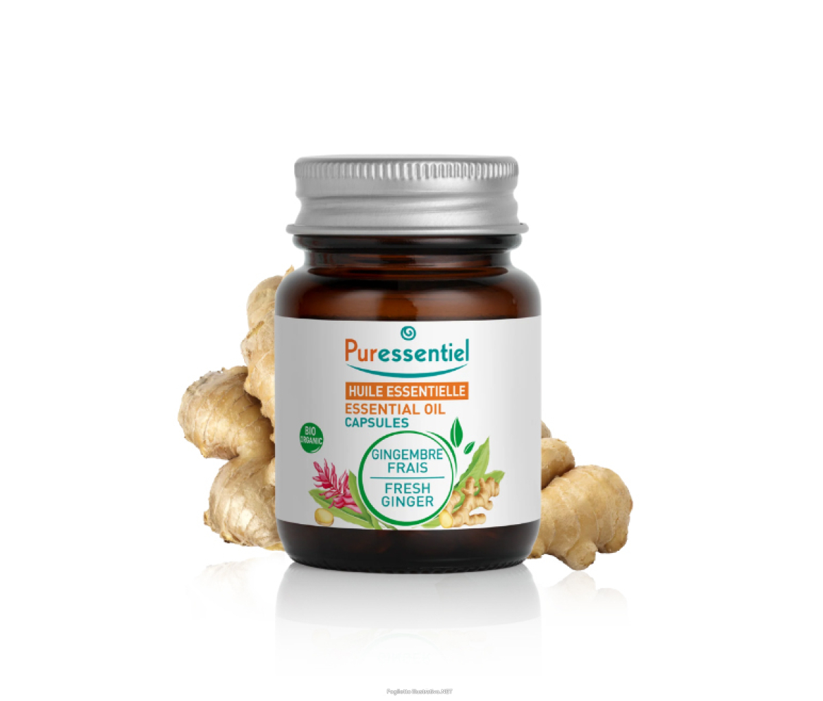 Cerca Offerte di puressentiel fresco bio integratore per la funzione digestiva 60 capsule e acquista online