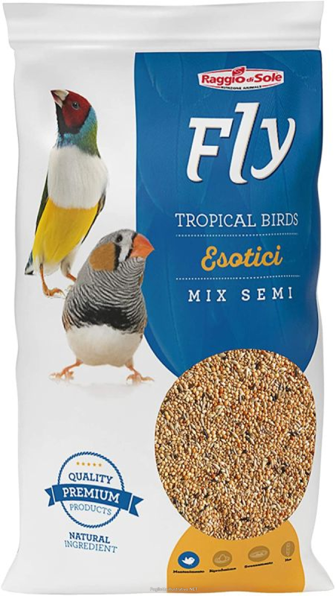 Cerca Offerte di raggio di sole fly mangime volatili esotici tropical birds esotici mix semi 1kg e acquista online