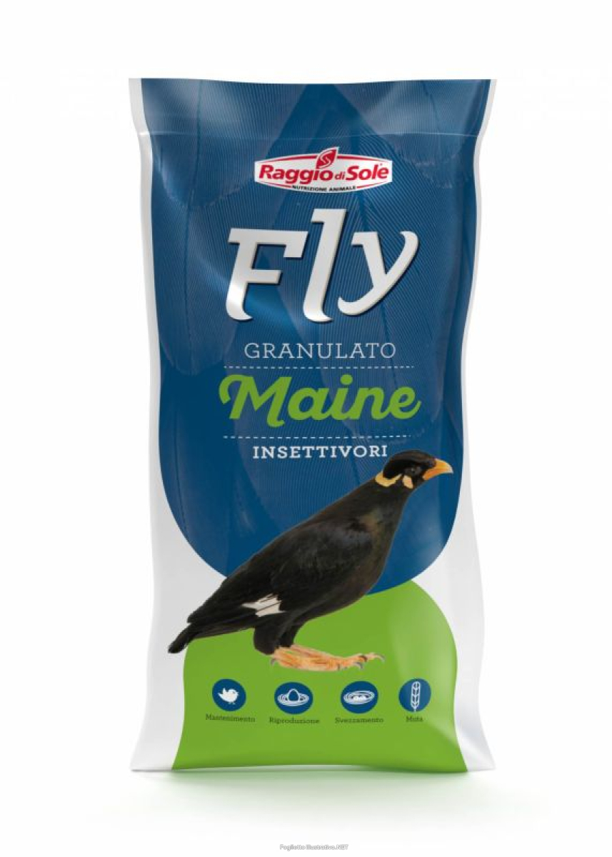 Cerca Offerte di raggio di sole fly mangime volatili insettivori maine granulato nero 1kg e acquista online