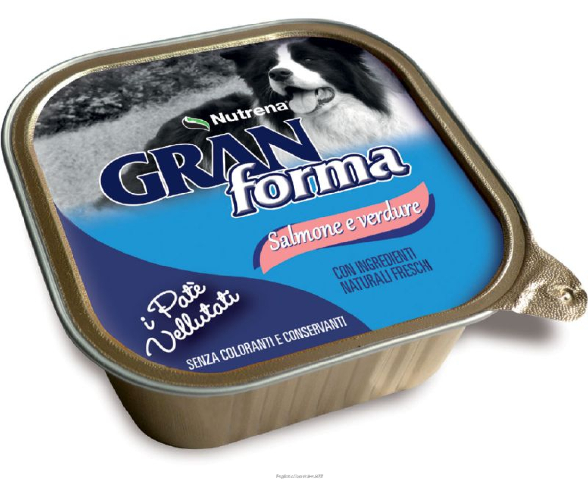 Cerca Offerte di raggio di sole gran forma cane pate' salmone verdure 300gr (vaschetta) e acquista online