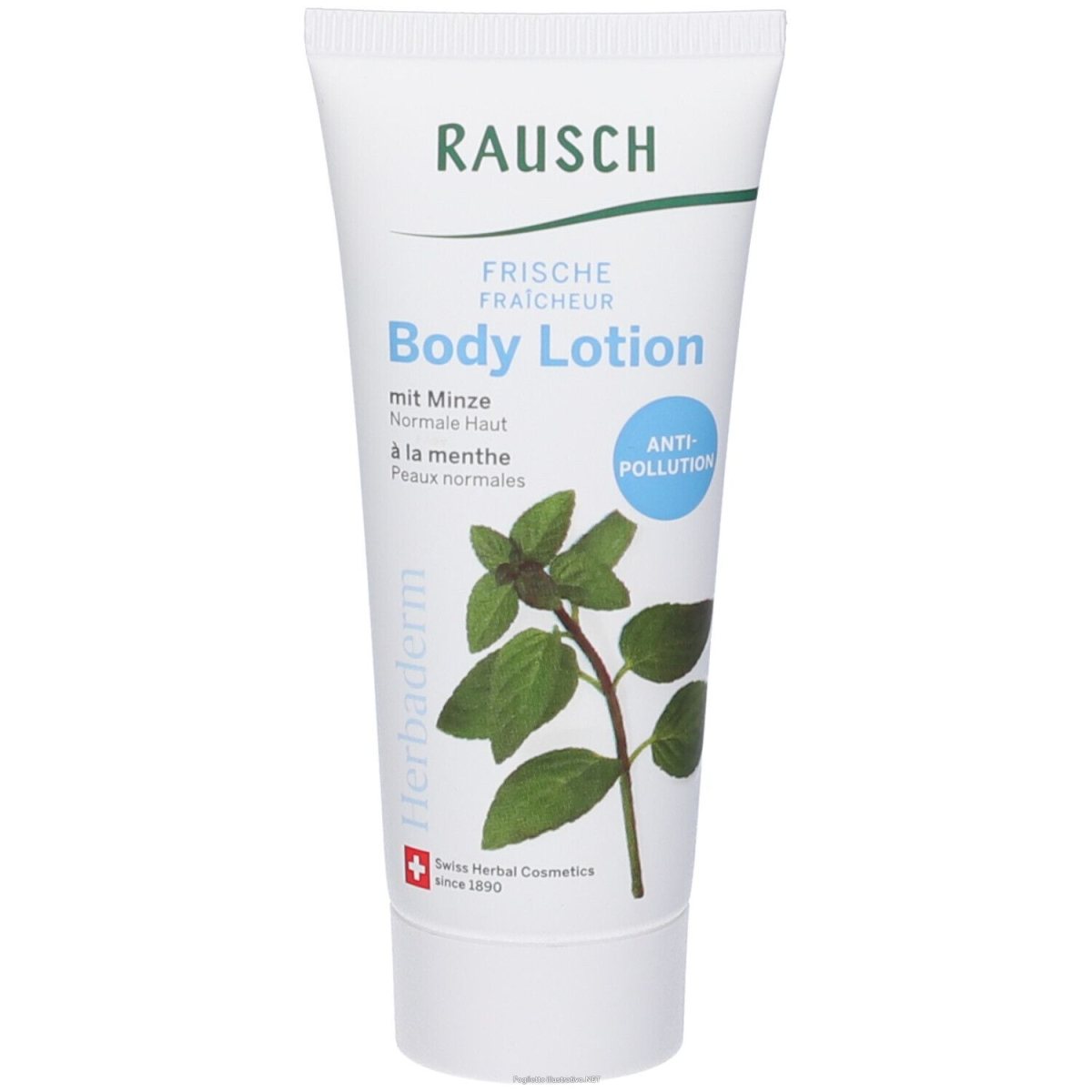 Cerca Offerte di rausch lozione corpo freschezza menta 40 ml per il corpo e acquista online