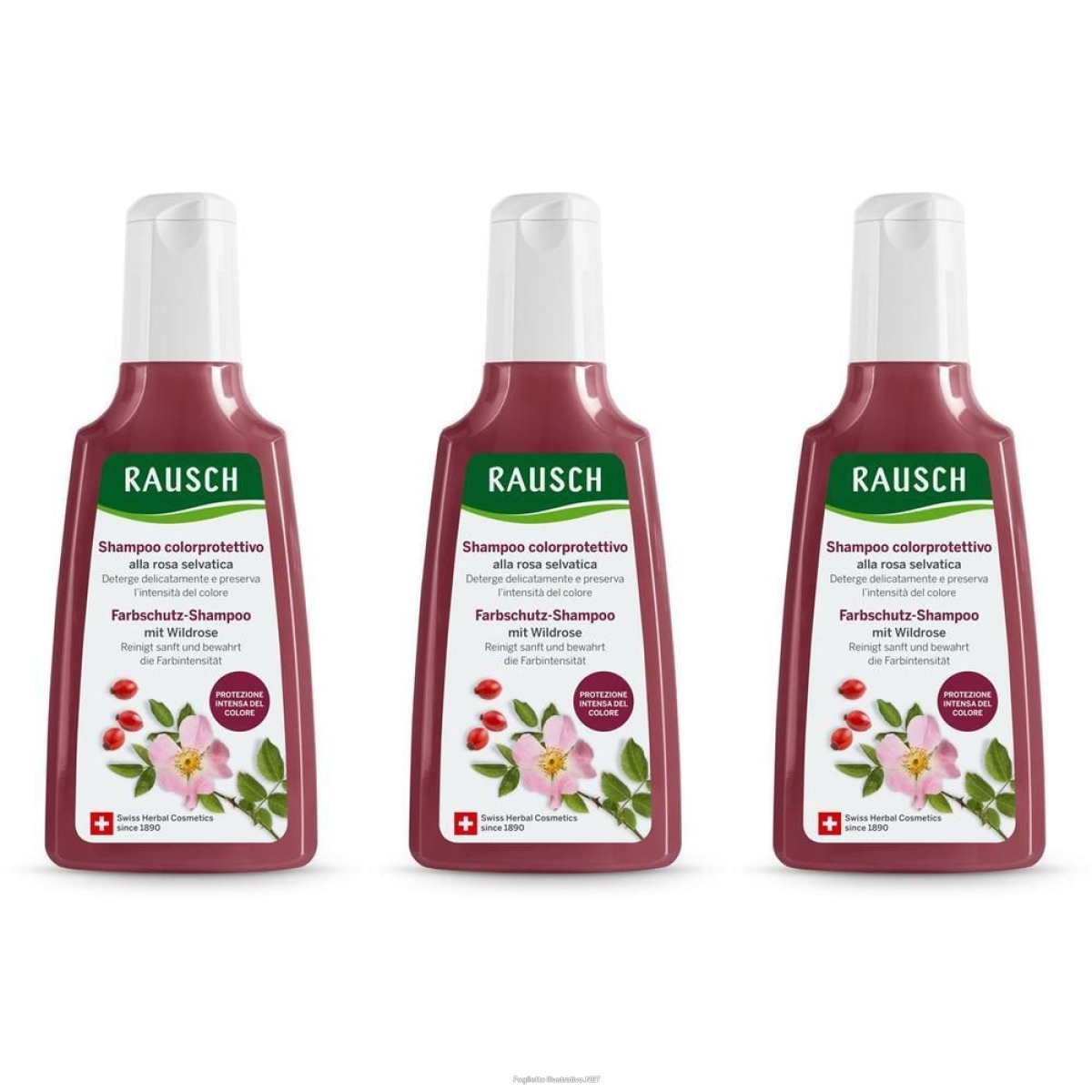 Cerca Offerte di rausch shampoo colorprotettivo alla rosa selvatica 3x200 ml e acquista online