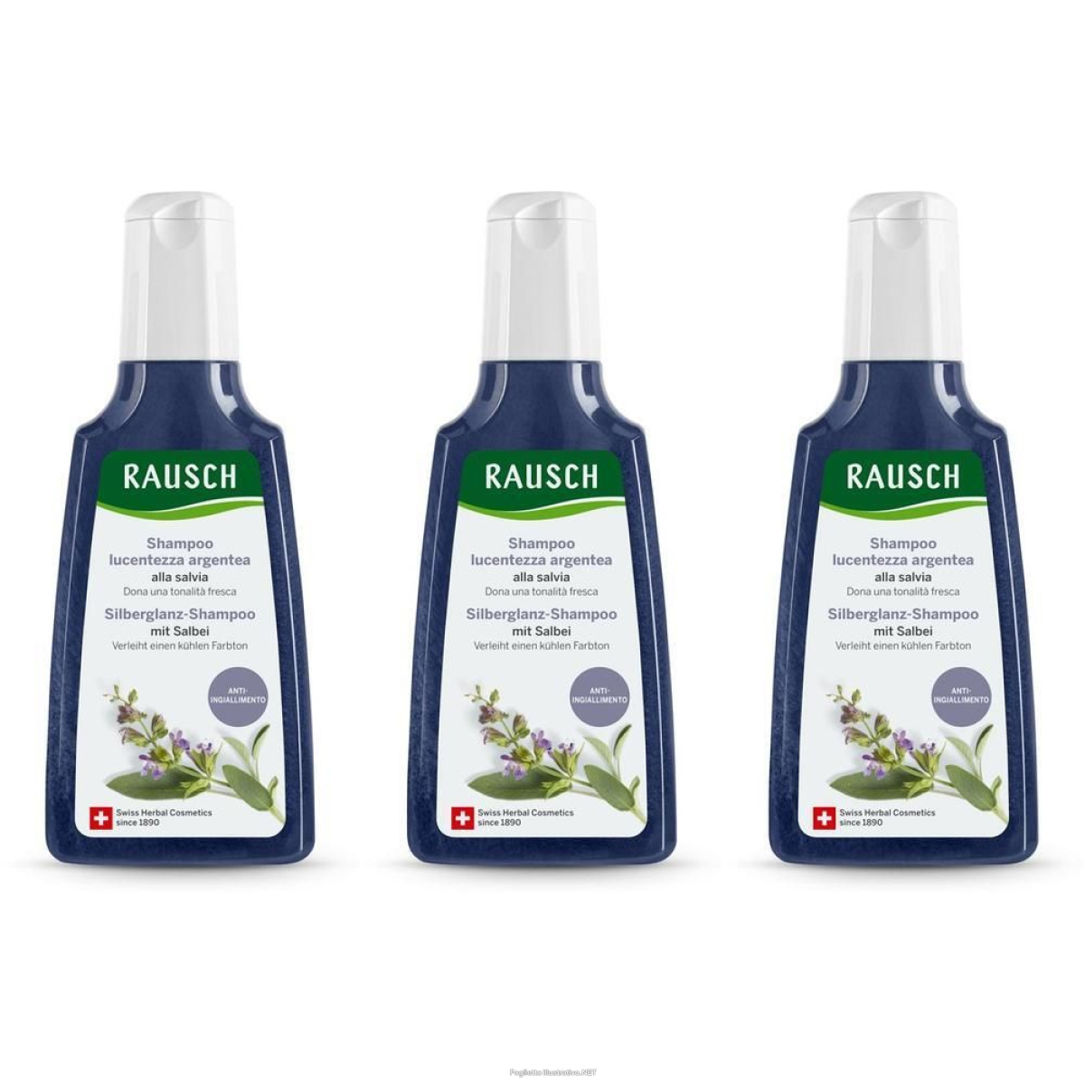 Cerca Offerte di rausch shampoo lucentezza argentea alla salvia 3x200 ml e acquista online