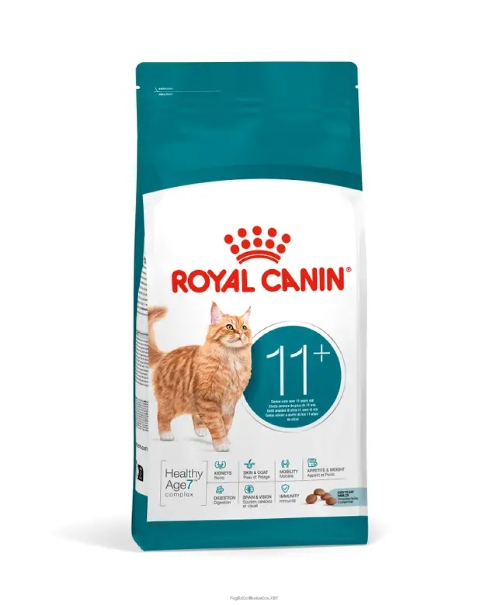 Cerca Offerte di rc cat ageing 11+ 2kg e acquista online