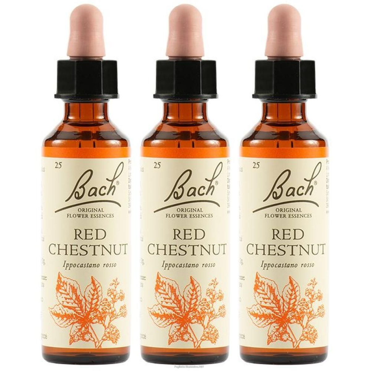 Cerca Offerte di red chestnut bach orig 20ml 3x20 ml gocce orali e acquista online
