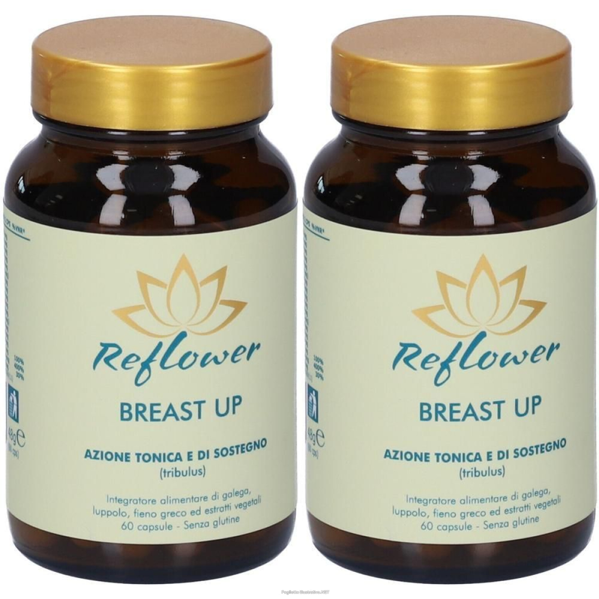 Cerca Offerte di reflower breast up capsule 2x48 g e acquista online