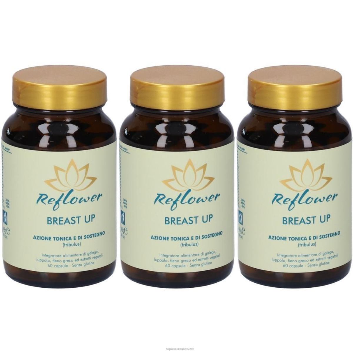 Cerca Offerte di reflower breast up capsule 3x48 g e acquista online