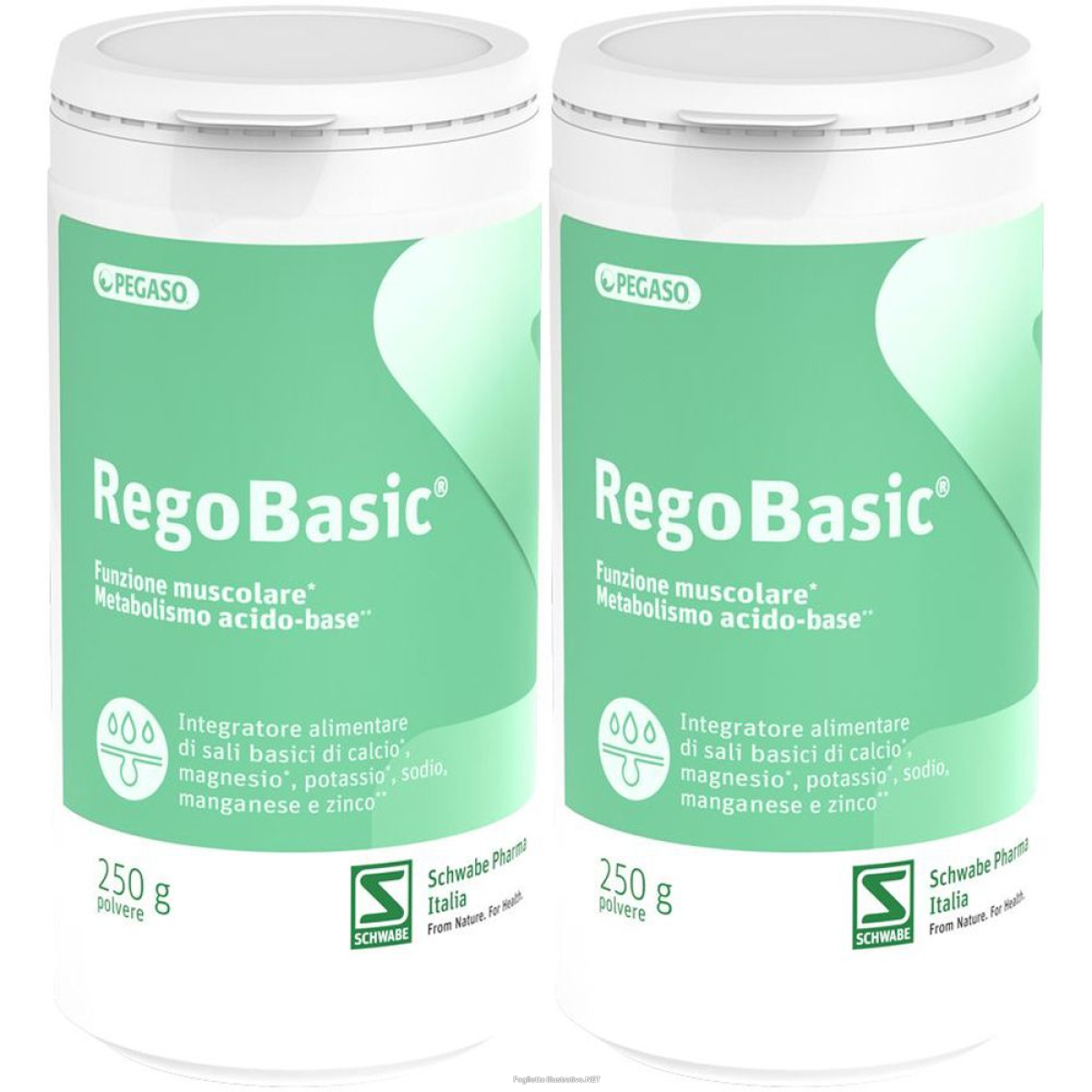 Cerca Offerte di regobasic polvere set da 2 2x250 g e acquista online