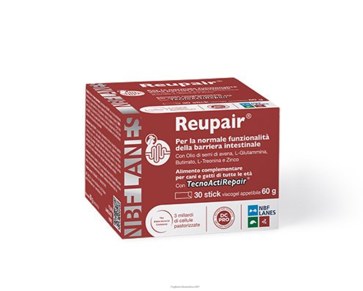 Cerca Offerte di reupair 30 stick integratore per articolazioni cani e gatti 30 stick - n.b.f. lanes srl e acquista online