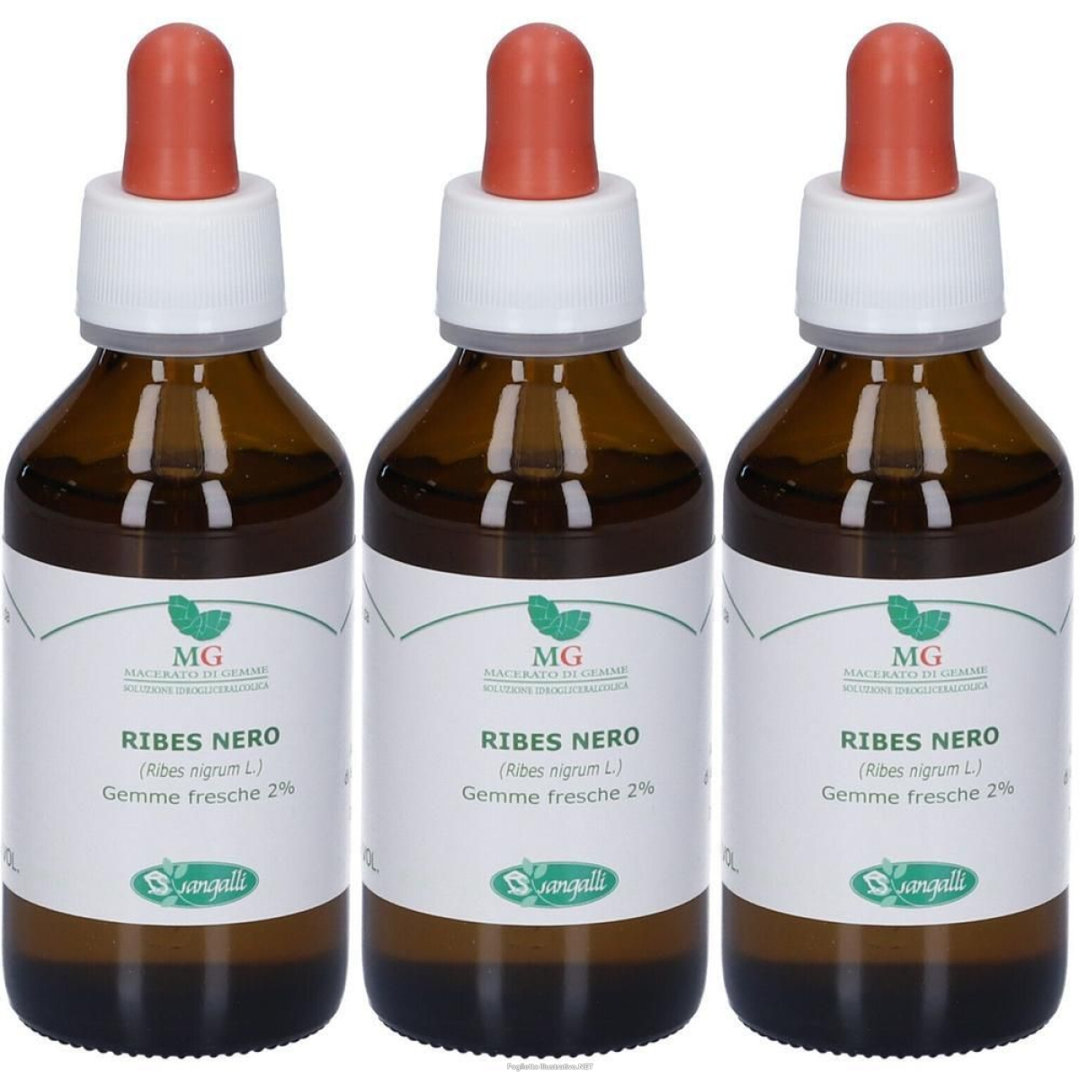 Cerca Offerte di ribes macerato glicerico 100 ml 3x100 ml e acquista online