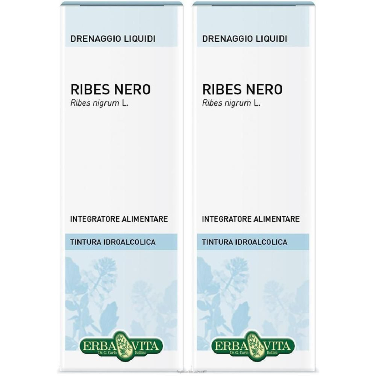 Cerca Offerte di ribes nero foglie soluzione idroalcolica ebv 2x50 ml orale e acquista online