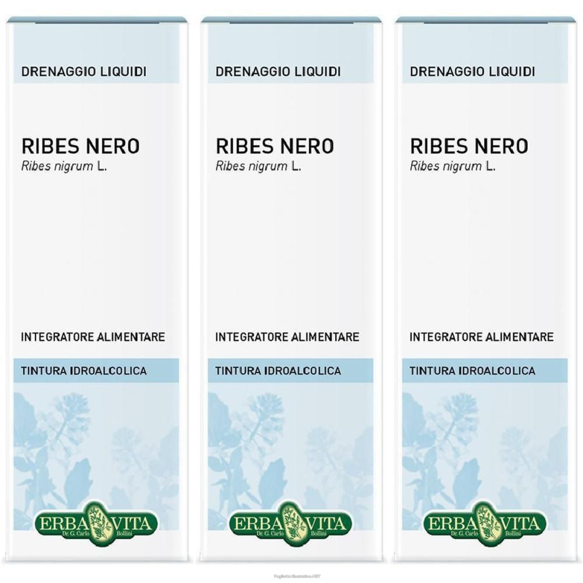 Cerca Offerte di ribes nero foglie soluzione idroalcolica ebv 3x50 ml orale e acquista online