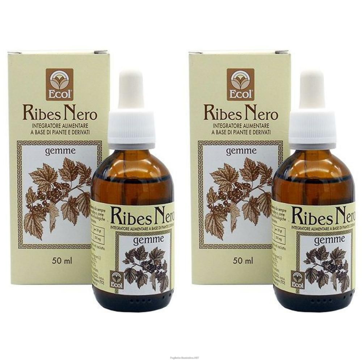 Cerca Offerte di ribes nero gemme 50 ml 2x50 ml soluzione orale e acquista online