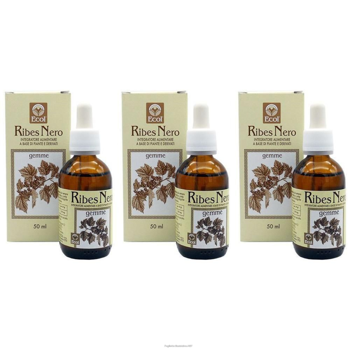 Cerca Offerte di ribes nero gemme 50 ml 3x50 ml soluzione orale e acquista online