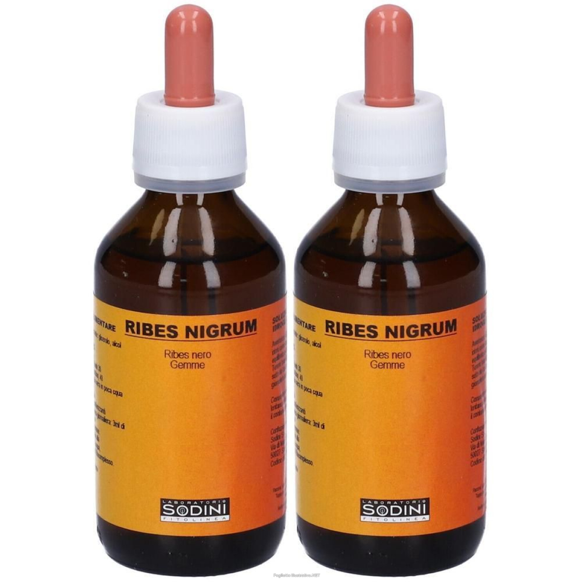 Cerca Offerte di ribes nigrum 2x100 ml soluzione orale e acquista online