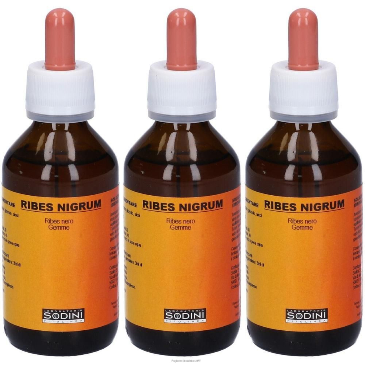 Cerca Offerte di ribes nigrum 3x100 ml soluzione orale e acquista online