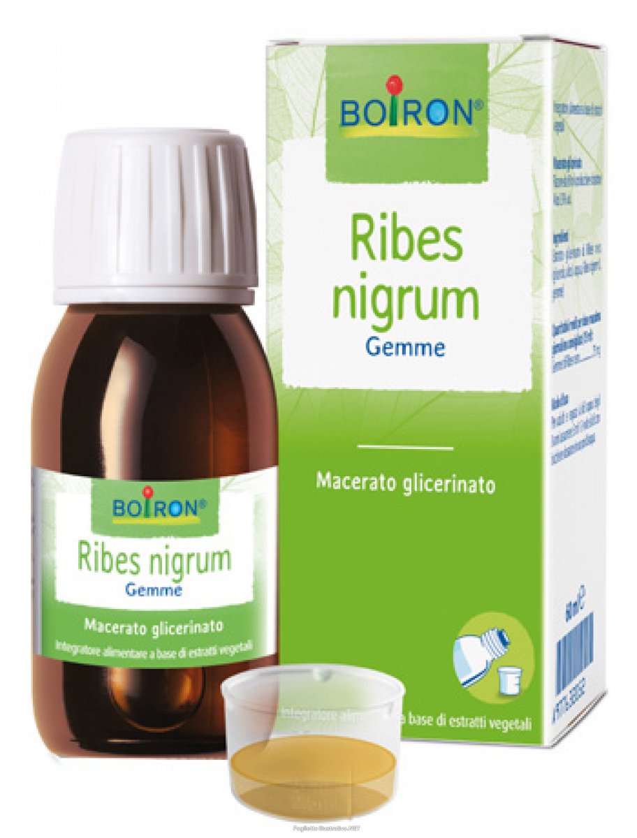 Cerca Offerte di ribes nigrum mg 60ml intensivo e acquista online