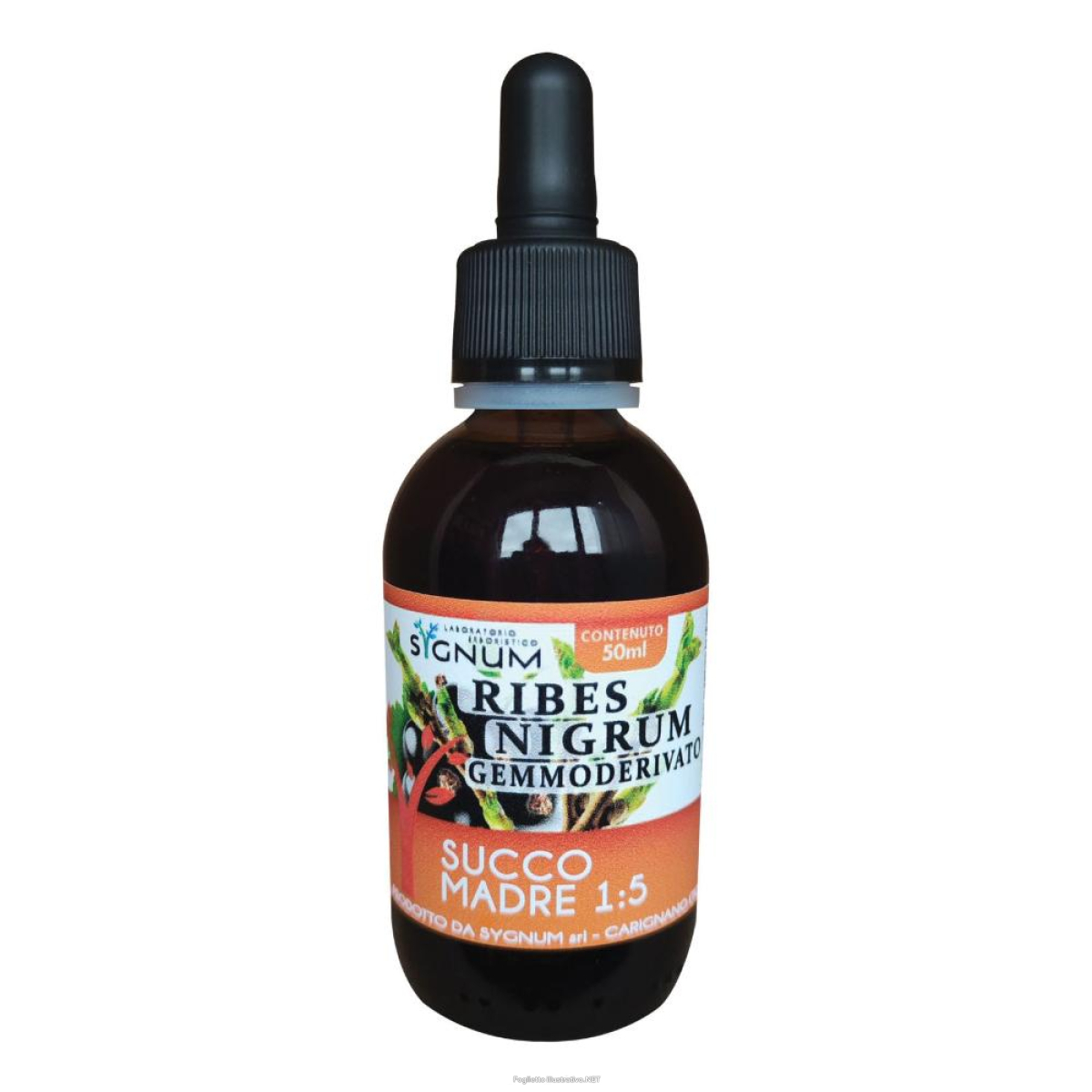Cerca Offerte di ribes nigrum succo madre 50 ml e acquista online