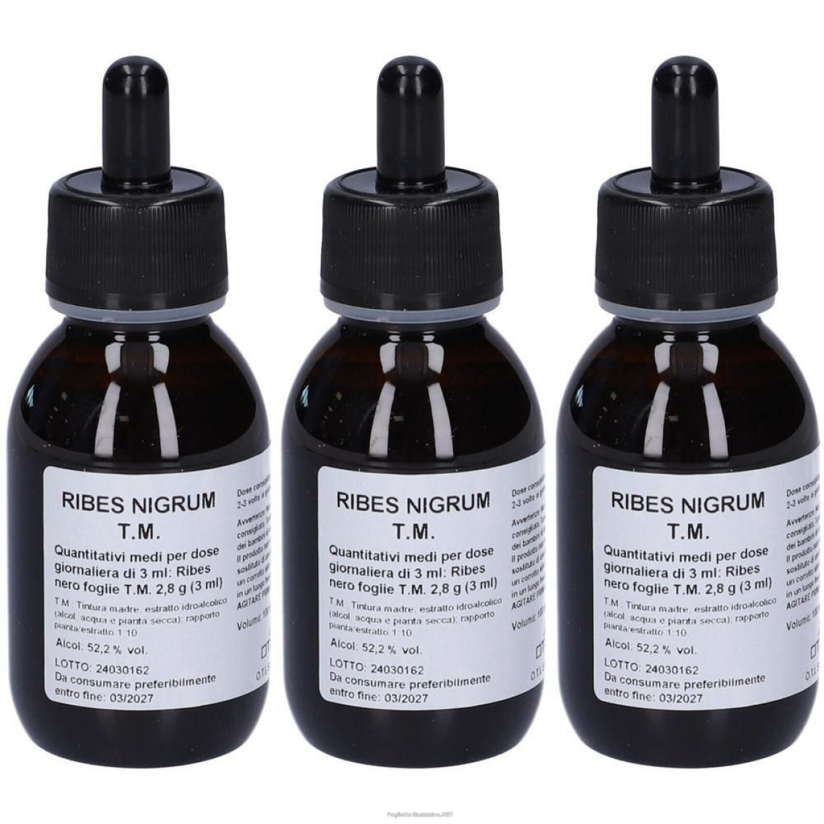 Cerca Offerte di ribes nigrum tintura madre gocce 3x100 ml e acquista online
