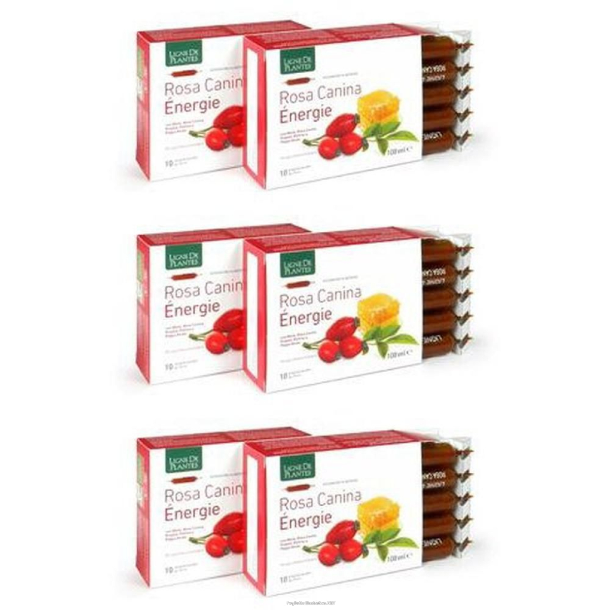 Cerca Offerte di rosa canina energie biologico 10 ampolle bevibili da ml 3x10x10 ml e acquista online
