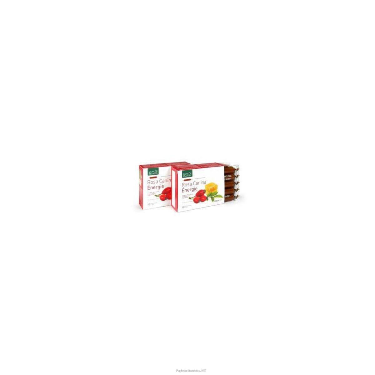 Cerca Offerte di rosa canina energie biologico 10 ampolle bevibili da ml 4x10x10 ml e acquista online