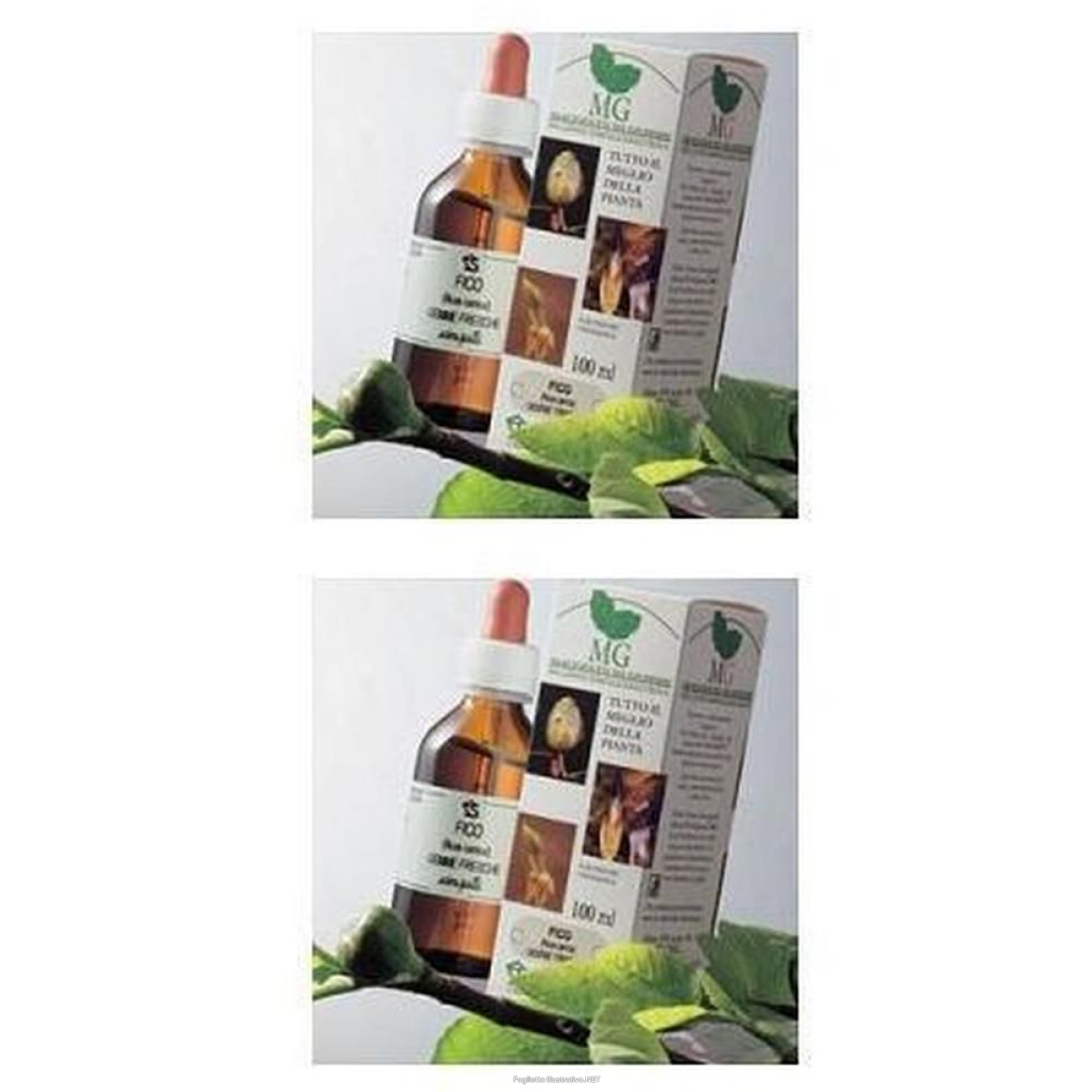 Cerca Offerte di rosa canina macerato glicerico 100 ml 2x100 ml soluzione orale e acquista online