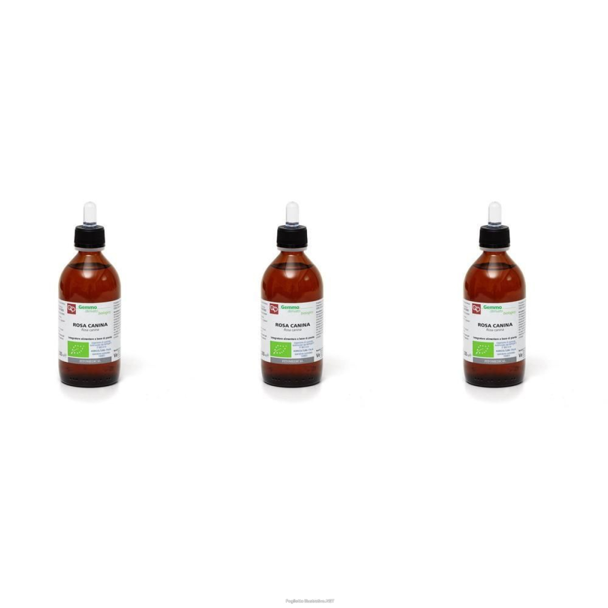 Cerca Offerte di rosa canina macerato glicerico 200 ml bio 3x200 ml soluzione orale e acquista online