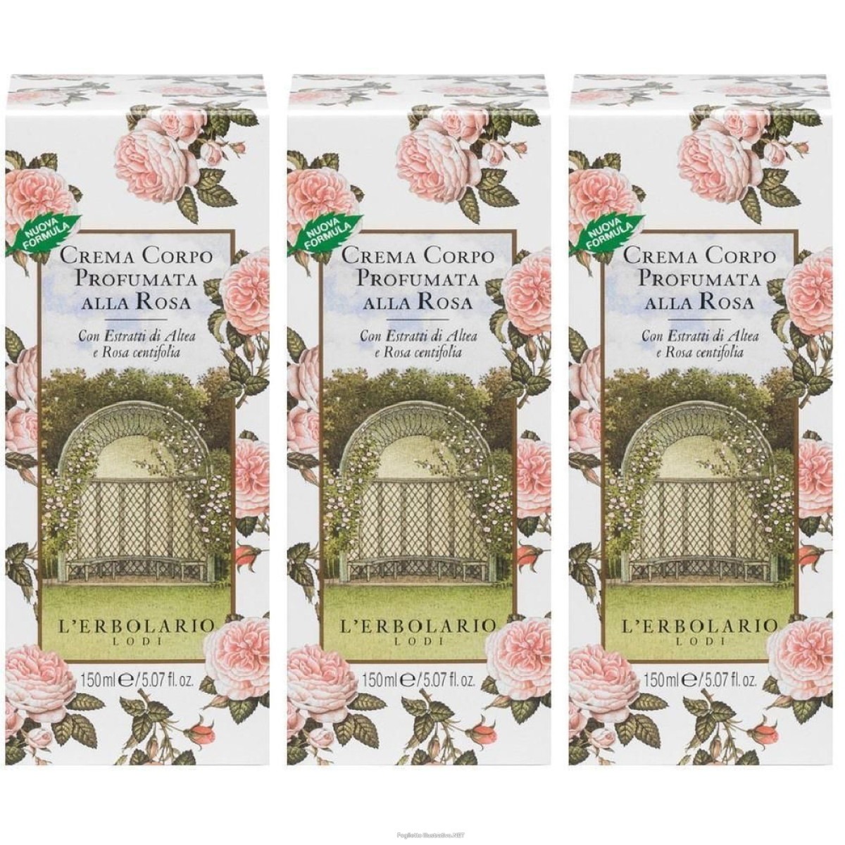 Cerca Offerte di rosa crema corpo 150 ml 3x150 ml e acquista online