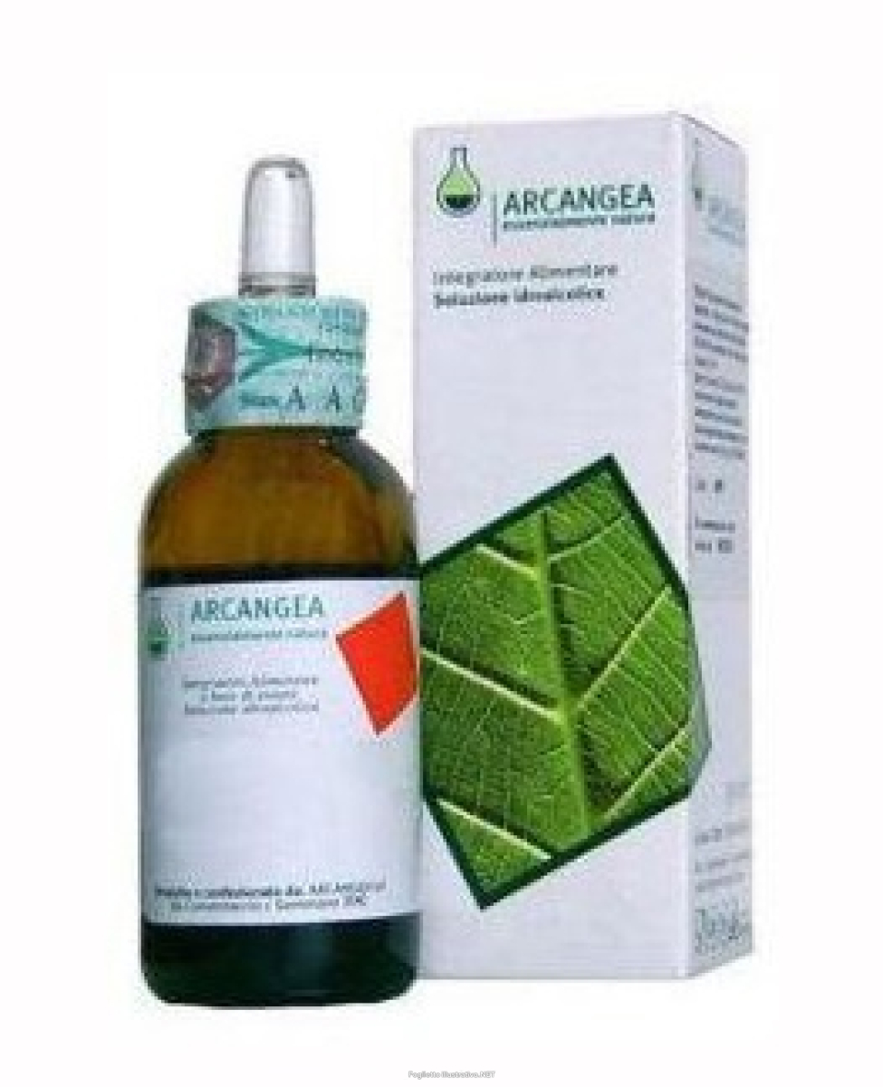 Cerca Offerte di rosmarinus bio circulatum arcangea 100 ml e acquista online