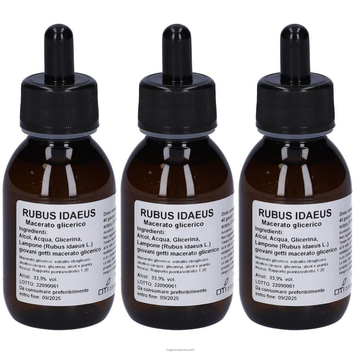 Cerca Offerte di rubus idaeus mg10% gocce 100ml 3x100 ml orali e acquista online