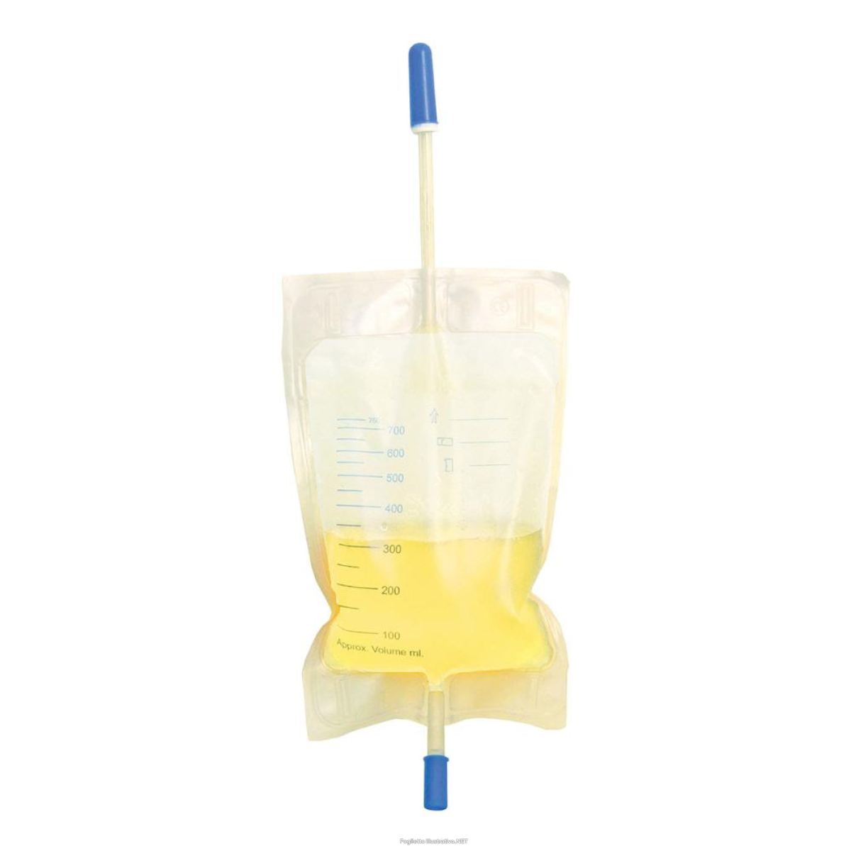Cerca Offerte di sacca raccolta urina da gamba da 750 ml con 2 lacci con valvola antireflusso e rubinetto di scarico push pull tubo 35 cm 10 pezzi e acquista online