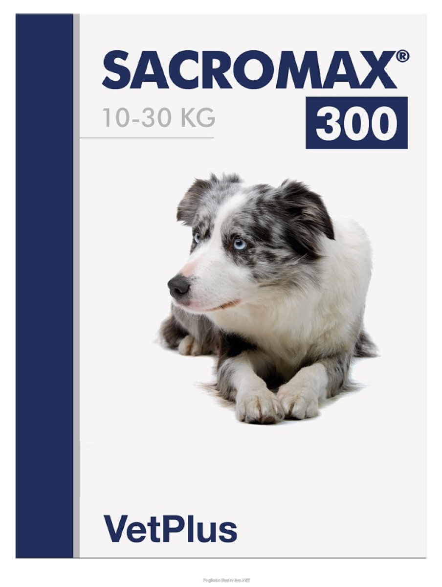 Cerca Offerte di sacromax 300 30bust 990464442 e acquista online