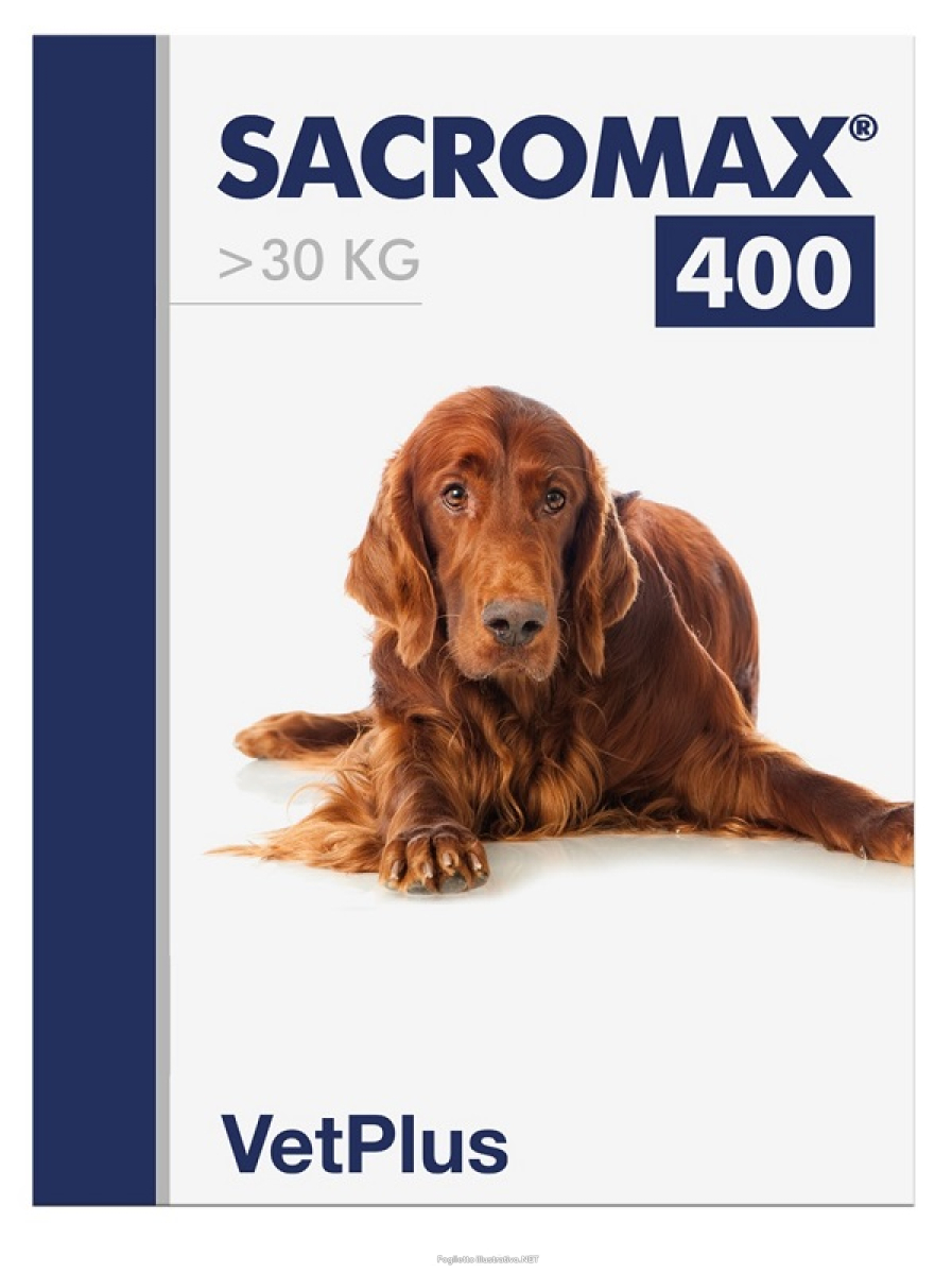 Cerca Offerte di sacromax 400 30bust 990464455 e acquista online