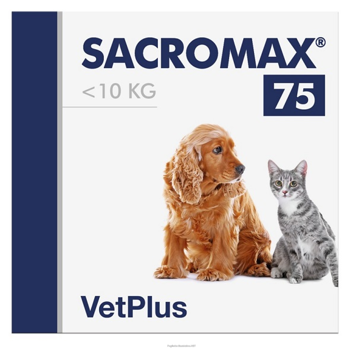 Cerca Offerte di sacromax 75 30bust 990464467 e acquista online